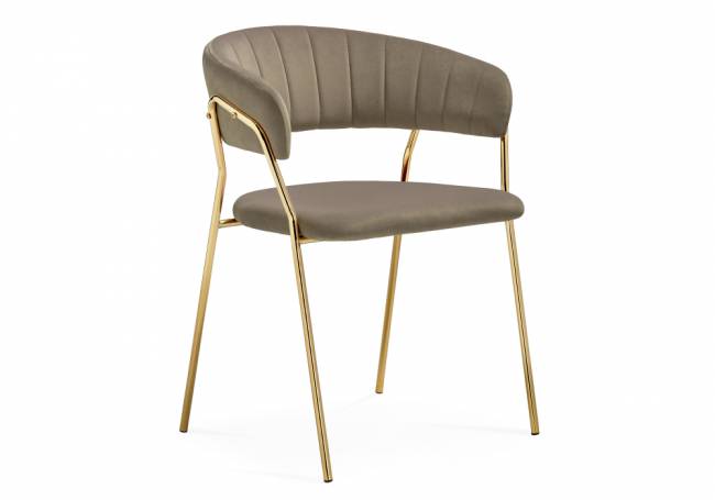 Kamelia 1 cappuccino / gold