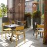 Стул пластиковый Trill Bistrot тортора 500х515х825 мм